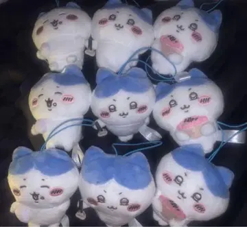 치이카와 (먼작귀) 하치와레 마스코트 3종 세트 x 3세트