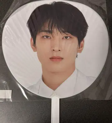 SEVENTEEN 원우 Japan dome tour 부채