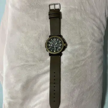 CASIO PRO TREK