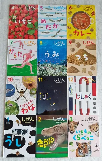 킨더북 자연 전 12권 프뢰벨관