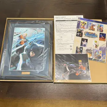 NARUTO 나루티밋 스톰 커넥션즈 캐릭터 파인그래프