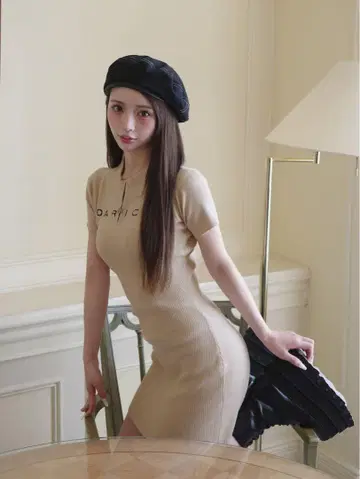 Darich 다리치 하프 지퍼 리브 니트 미니 원피스