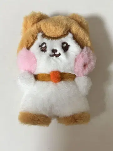 IVE 미니브 미니니 cheezni 리즈