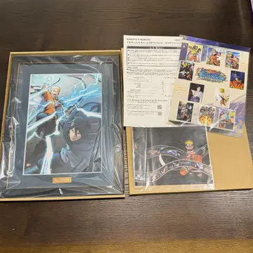 NARUTO 나루티밋 스톰 커넥션즈 캐릭터 파인그래프