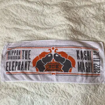 NIPPON THE ELEPHANT KASHIMASHI 타월
