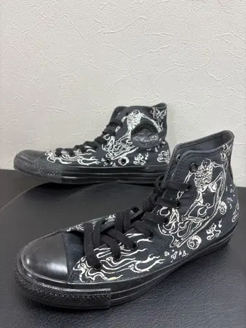 25 CONVERSE ALL STAR US SKULLSKATER HI
