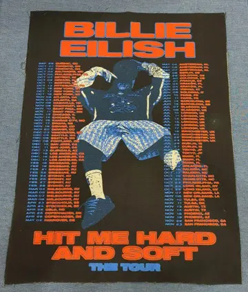 Billie Eilish 천 포스터 새상품