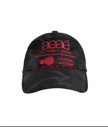 aeae WEB LOGO CAP
