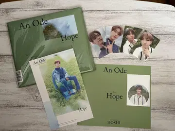 seventeen 세부치 앨범 Anode 호시 트레이딩 카드 포함