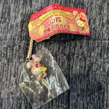 산인 한정 이나바의 하얀 토끼 키티