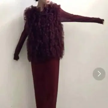 아메리 프릴 튤 베스트