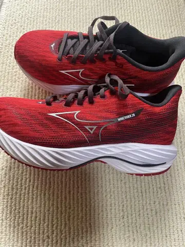 Mizuno Wave Rider 28 레드 25cm