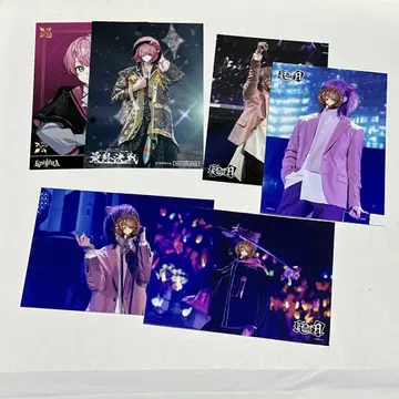 [ 익명 ] 테루토군 실사 브로마이드 ( ST506