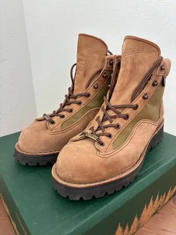 Danner Light II 33000 US8.5