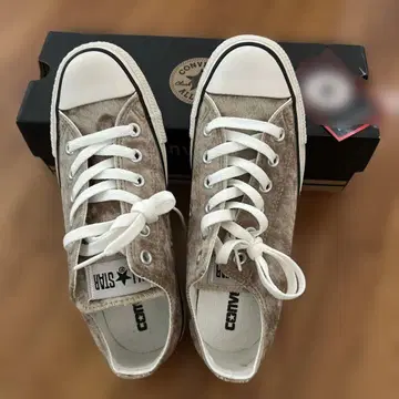 Converse All Star 한정판 모델 벨벳 벨로아 스니커즈