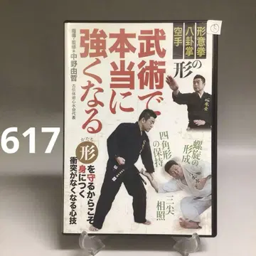 617 [ 무술로 정말 강해진다 ] 나카노 요시노리 BAB 재팬 DVD