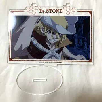 Dr.STONE 나나미 류스이 닥터스톤 장면 사진