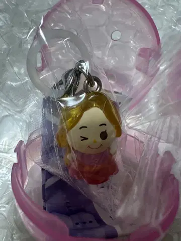 디즈니 메지루시 액세서리 라푼젤 메지루시 액세서리