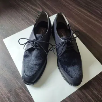 Callipigia 네이비 레이스업 슈즈