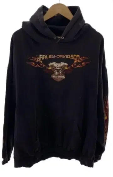 Harley-Davidson 데미지 프레임 파이어 패턴 후드티