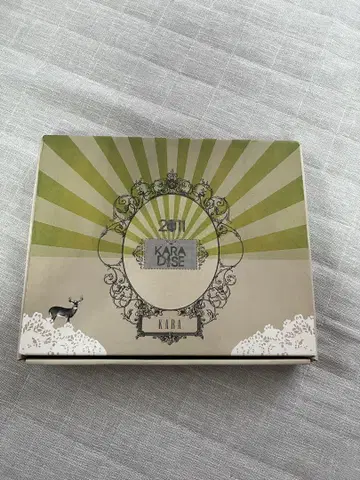 KARA 굿즈