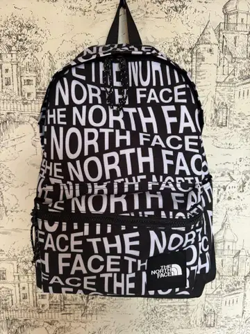 THE NORTH FACE 백팩 한국 한정판