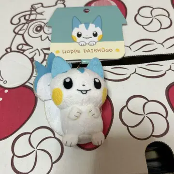 파치리스 볼 모음