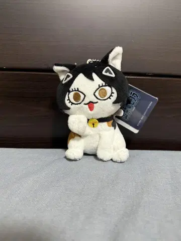 출입금지의 두더지  동물 봉제 인형 고양이 부가 고양이 부가 안즈