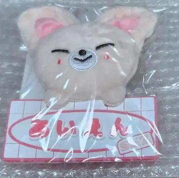 Stray Kids SKZ TOY WORLD 네임 백참