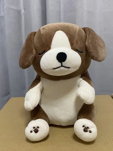 비글 봉제 인형 네무네무