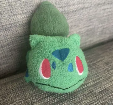 이상해씨 봉제 인형 마스코트 포켓몬 센터 pokemon time