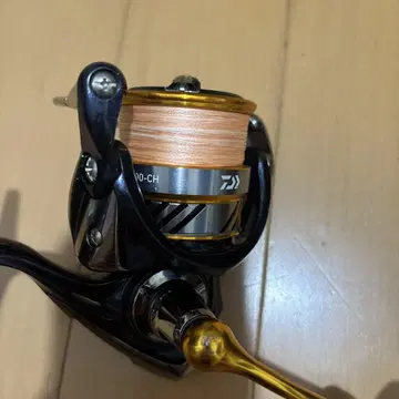 Daiwa REVROS LT 3000-DH