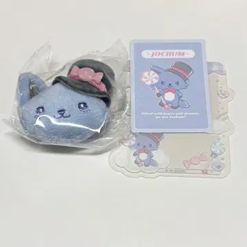 JOCHUM 레인 경질 케이스 브로치