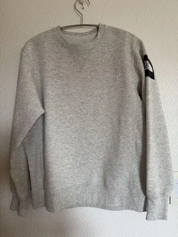 THE NORTH FACE 그레이 크루넥 트레이닝복