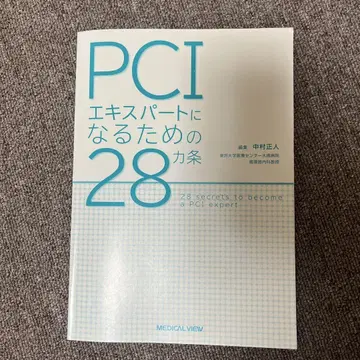 PCI 전문가가 되기 위한 28가지 조항