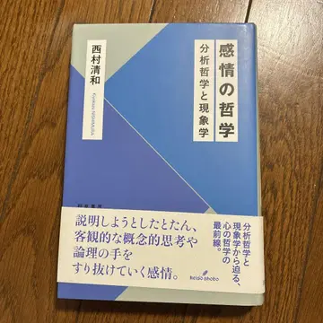 감정의 철학 분석철학과 현상학
