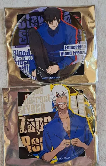 미사용, 도데카 캔뱃지, 혈계전선, 스티븐, Zap