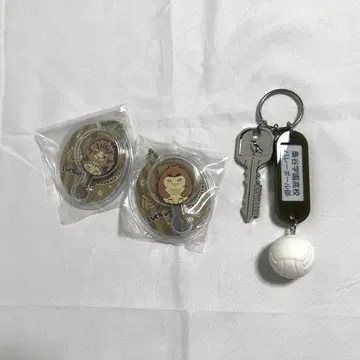 하이큐 보쿠토 코타로 아카아시 케이지