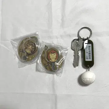 하이큐 보쿠토 코타로 아카아시 케이지