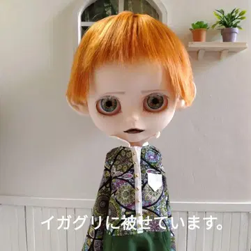 인형 가발 프랑켄 군 할로윈 오렌지 브라이스 아이시돌