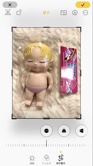 야마모토 쇼고 베비치호