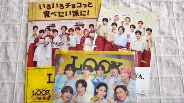 후지야 LOOK 클리어 파일, 슬라이더 파우치, 플라이어