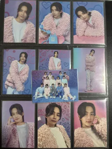 SEVENTEEN 정한 LOVE 랜덤 트레이딩 카드