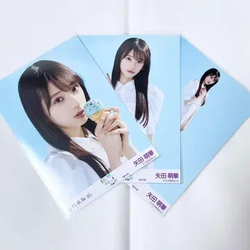 야타 모에카 한여름 전국 투어 2025 Special 컴프