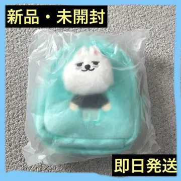 TXT 뿔바투 용몽 파우치