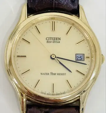 CITIZEN Eco-Drive 손목시계 골드