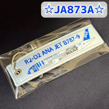 ANA JA873A 플라이트 택 특별 도색 R2-D2 스타 워즈 B787