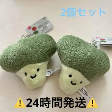 24시간 발송 브로콜리 다이소 2세트