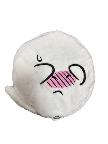 USJ 테레사 베레모