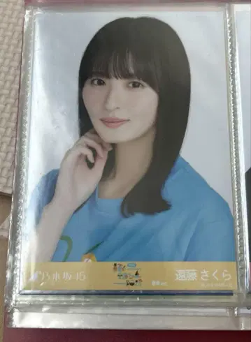 노기자카46 엔도 사쿠라 브로마이드 시즈오카 라이브T 셔츠 요리